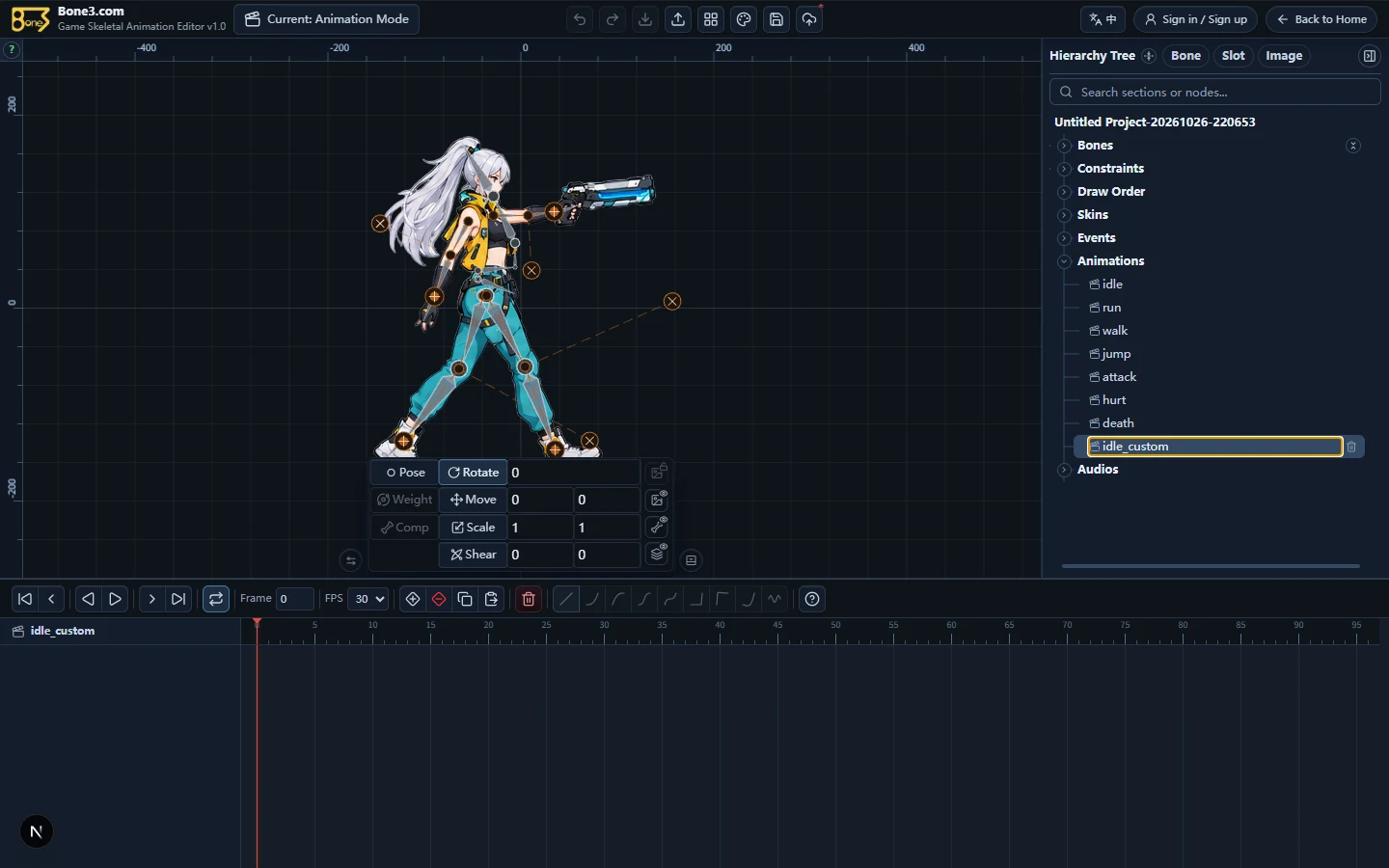 idle_custom selected in the English editor with an empty animation workspace.
