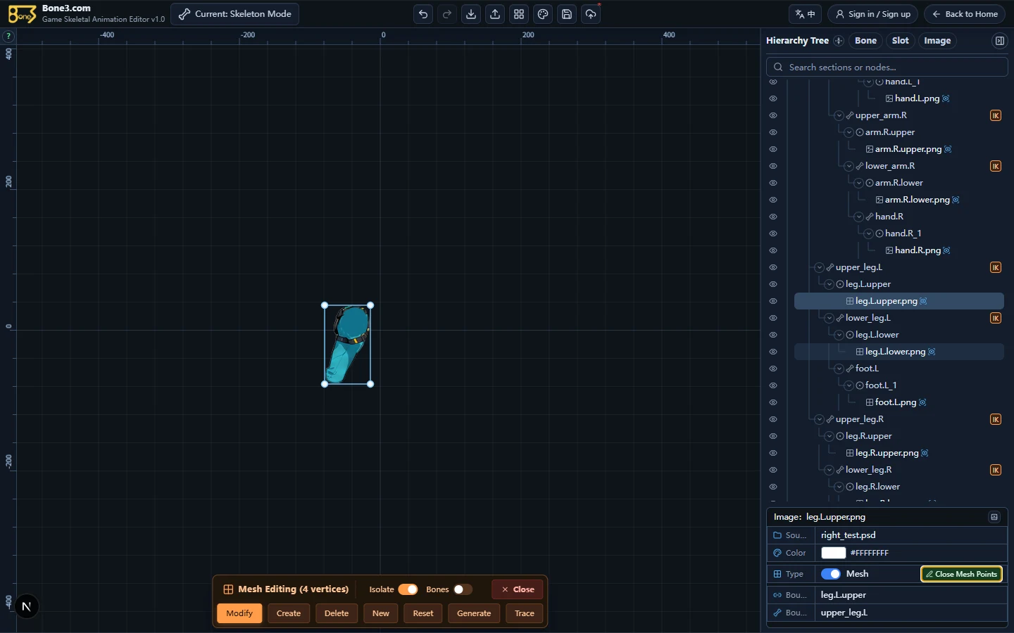 The selected image's actual vertices and triangle distribution in the English editor.
